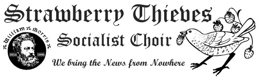 Strawberry Thieves Choir